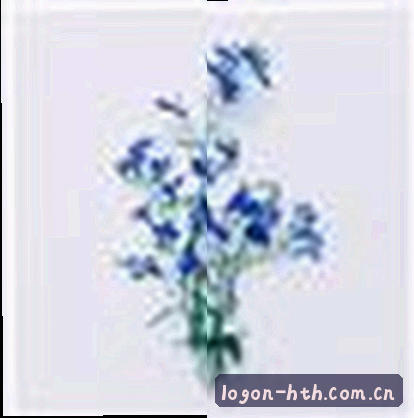 周明